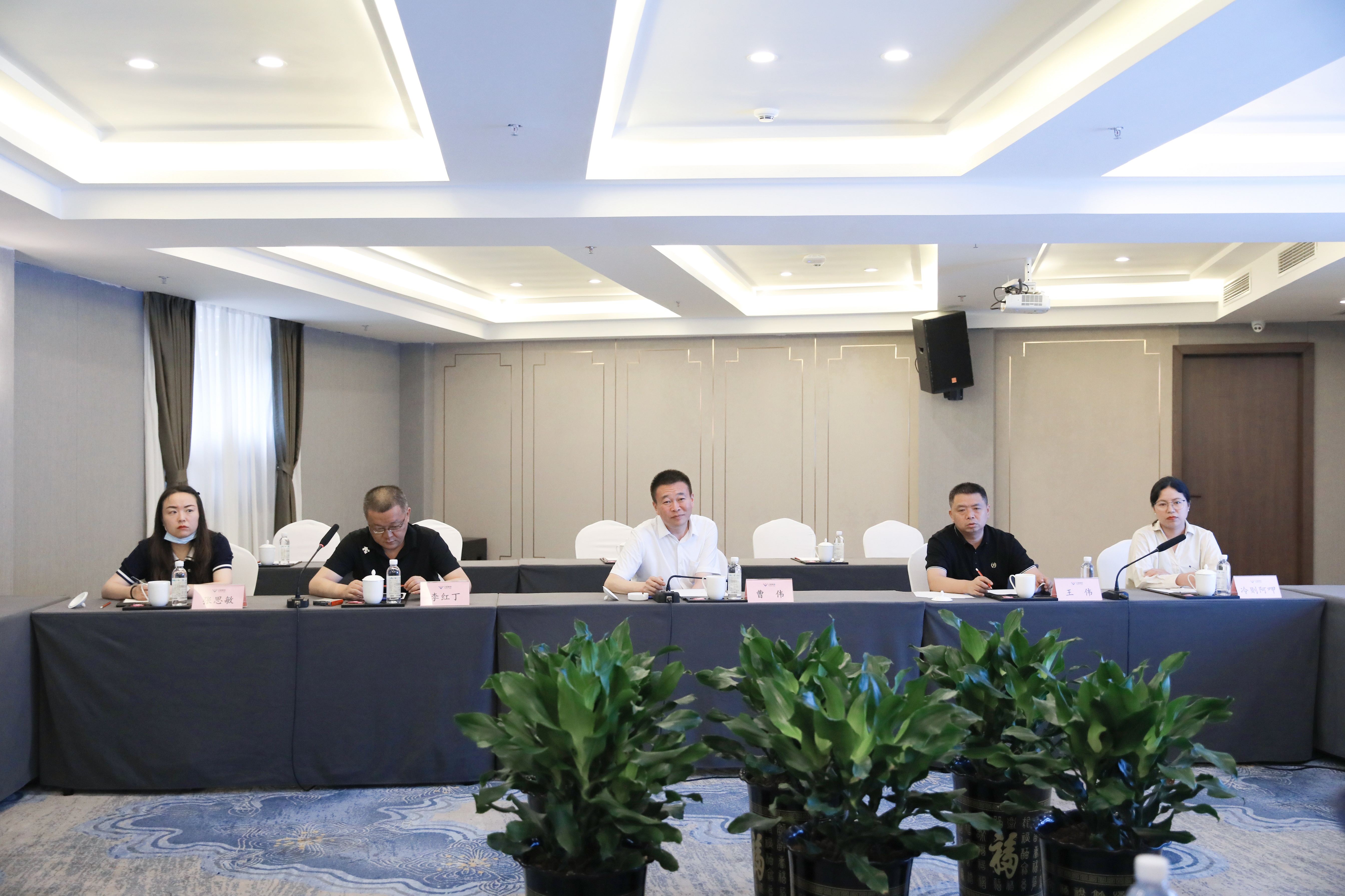 西昌市黨政代表團一行來訪川威連界基地考察調研(圖8)
