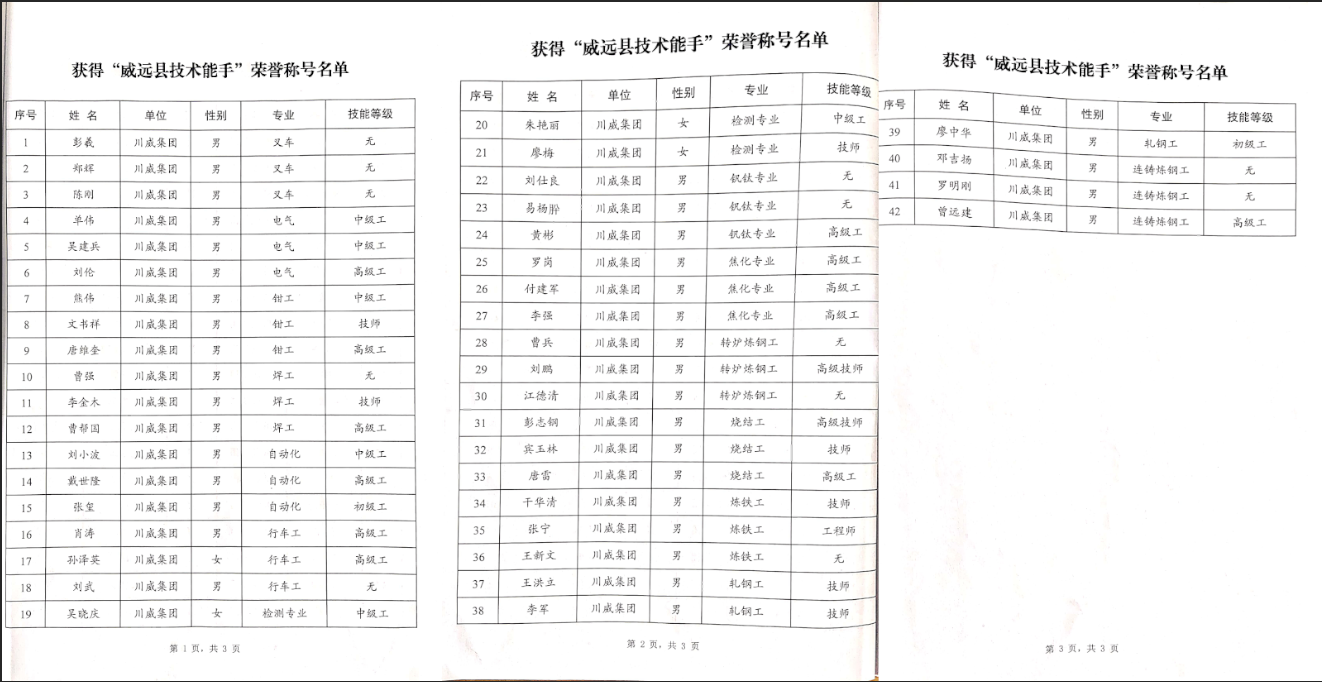 【專題】聚焦人才引領 創(chuàng)新驅(qū)動發(fā)展——釩鈦科技首次創(chuàng)威遠縣先進開啟人才俱進新篇章(圖6)