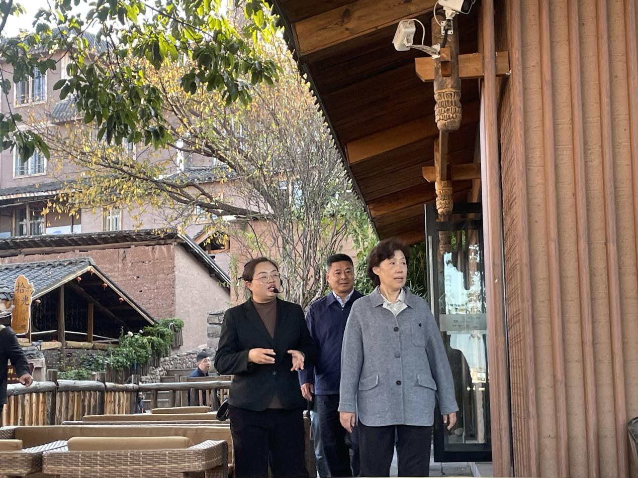 省政協主席田向利調研大石板鄉村振興項目(圖2) 省政協主席田向利調研大石板鄉村振興項目(圖2)