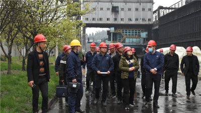 省統(tǒng)計局到川威集團博威能源調研